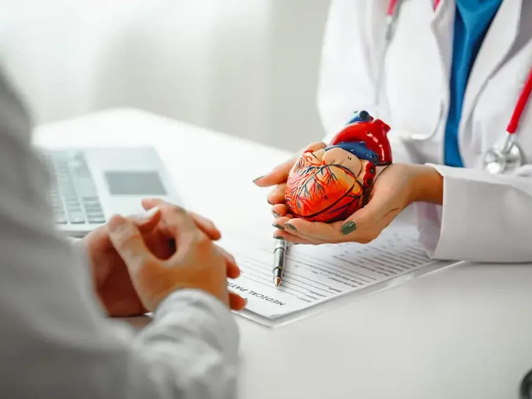 Doctor showing heart anatomy model and medical coding charts